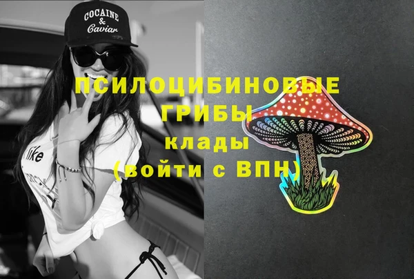Альфа ПВП Михайловка